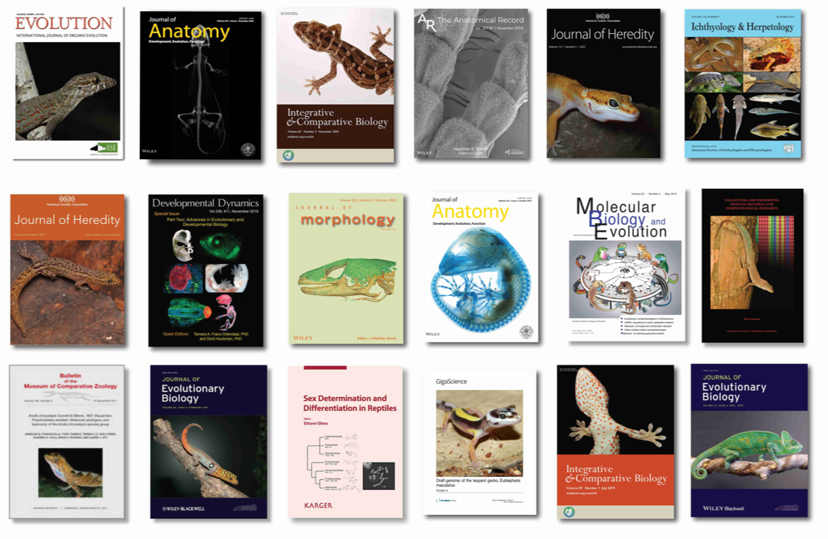 journal covers